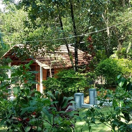Hotel Leisure Vacations Whispering Woods Madikeri Exterior foto